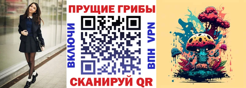 Псилоцибиновые грибы GOLDEN TEACHER  Шатура 