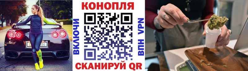 как найти закладки  Шатура  Бошки марихуана White Widow 